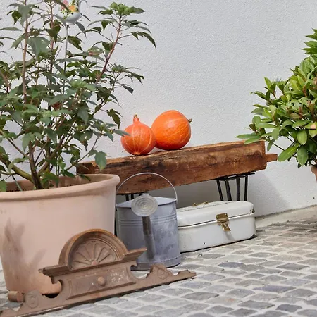 Appartamento Winzerlodge, Muskateller Gleiszellen-Gleishorbach