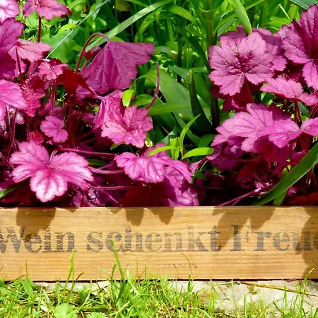 Winzerlodge, Muskateller Appartamento *