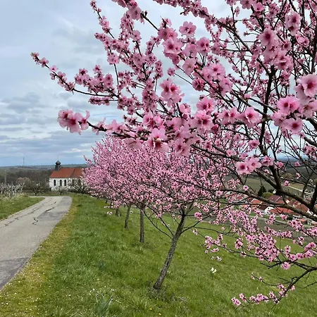 Winzerlodge, Muskateller *