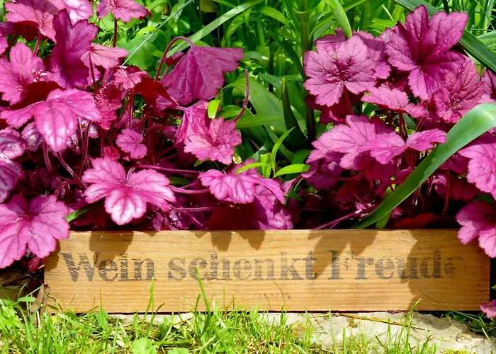 Winzerlodge, Muskateller Apartamento *