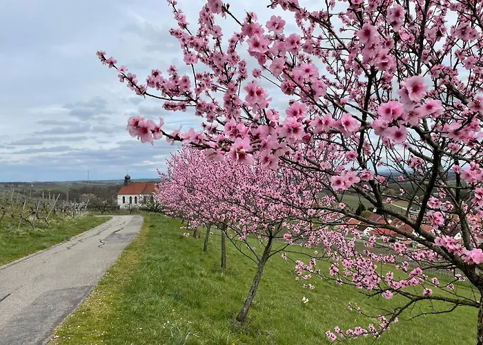 Winzerlodge, Muskateller *